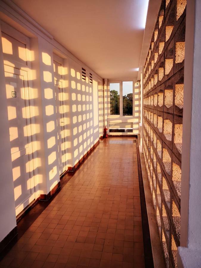 Hotel Decebal ネプトゥン エクステリア 写真